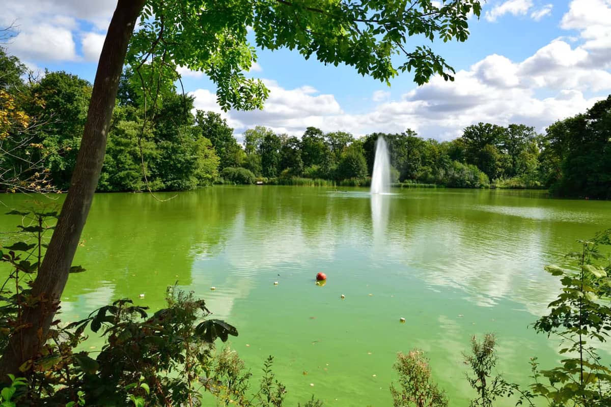 Bad Nauheim: Kurpark mit Teich & Fontäne Bad Nauheim: Kurpark mit Teich & Fontäne