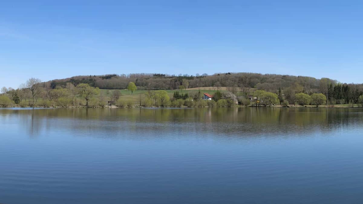 Freiensteinau: Niedermooser See mit Horst (Naherholungs-/Natur-Wahrzeichen, Ortsteil Nieder-Moos)