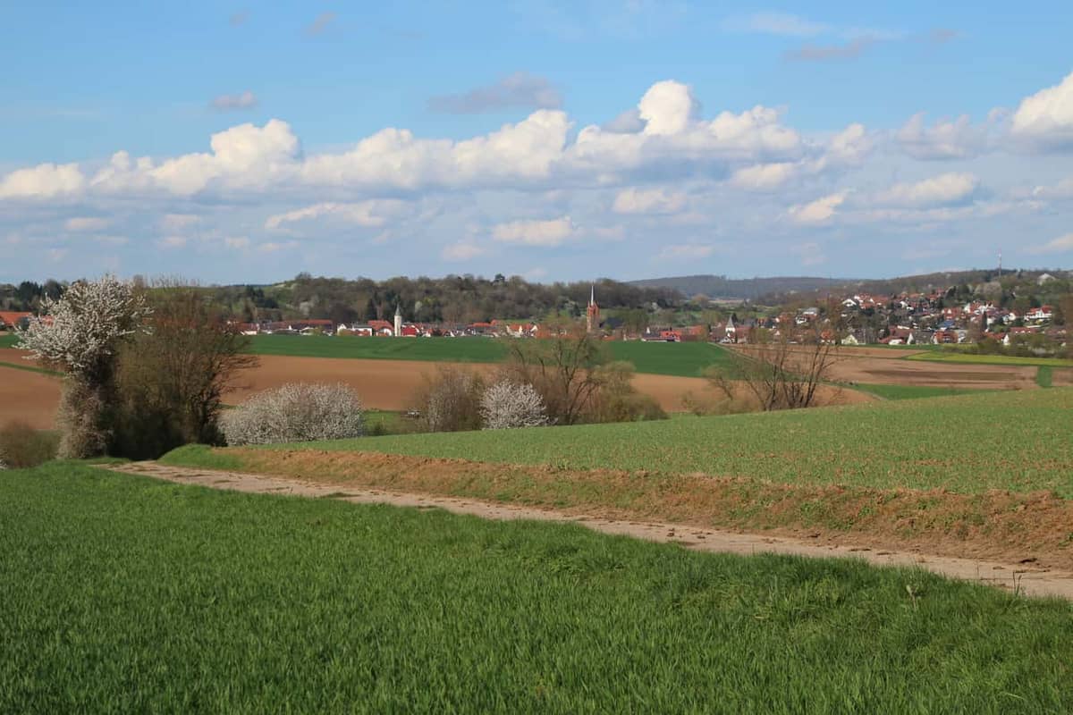 Hammersbach: Panorama Marköbel mit Obertor, Kirche und Untertor (v.l.n.r.) Hammersbach: Panorama Marköbel mit Obertor, Kirche und Untertor (v.l.n.r.)