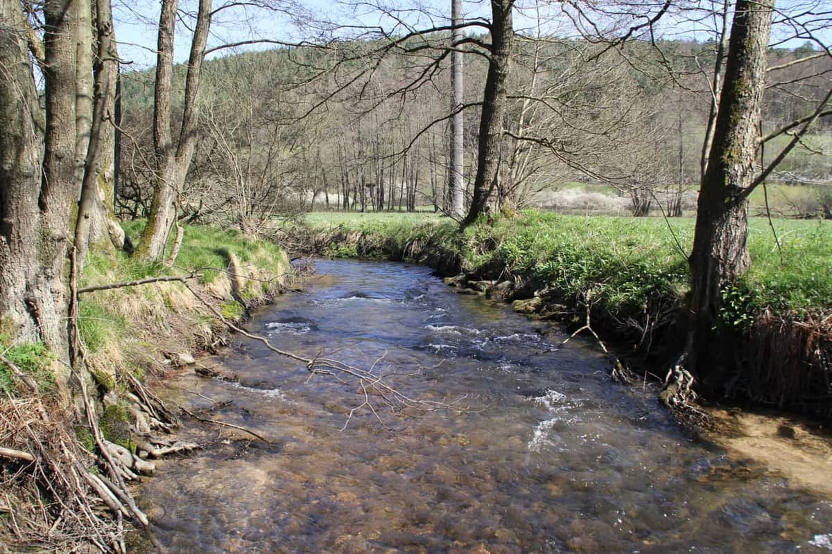 Wiesthal: Aubach im Aubachtal bei Wiesthal (das namensgebende Tal, Hochspessart-Landschaft) Wiesthal: Aubach im Aubachtal bei Wiesthal (das namensgebende Tal, Hochspessart-Landschaft)